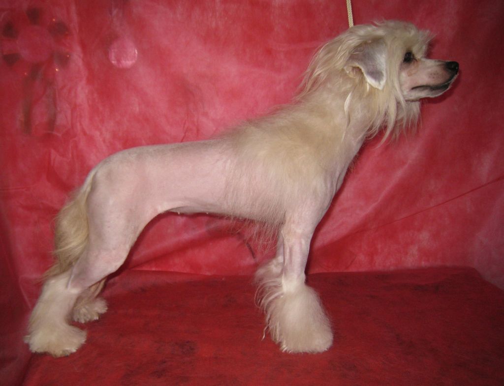 Rus Lorens Teresa Palmer