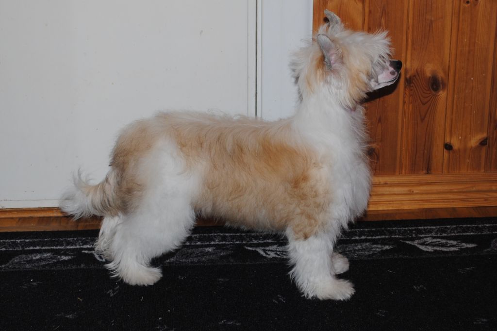 De La Mahafu's GlamMiss Jane