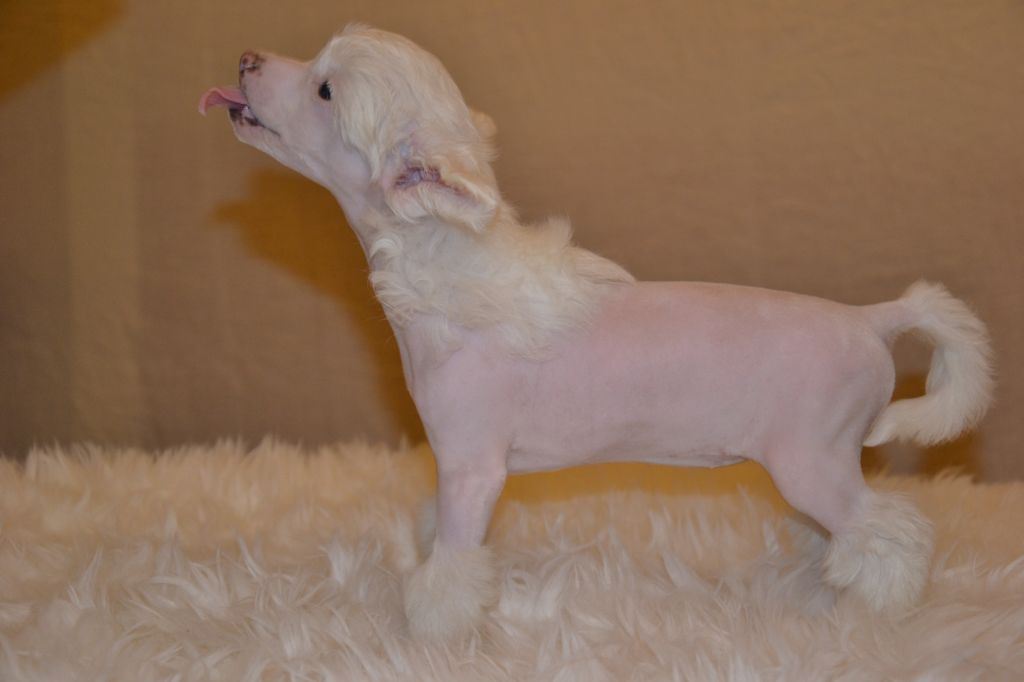 De La Mahafu's GlamMiss Jill