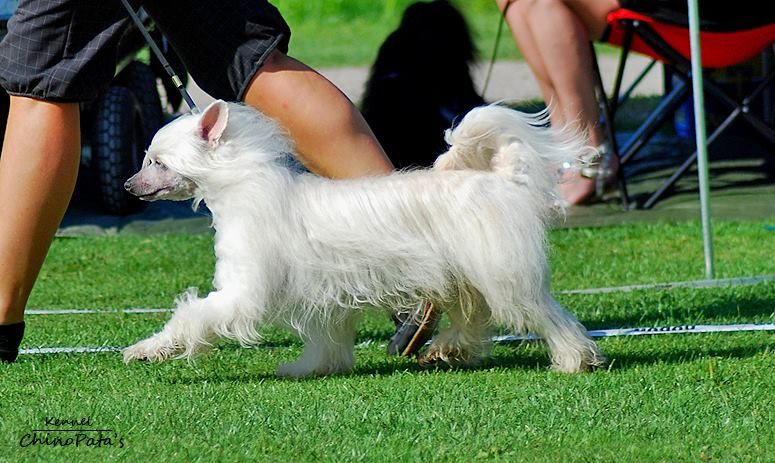 Tiny Diamonds Swedish Design