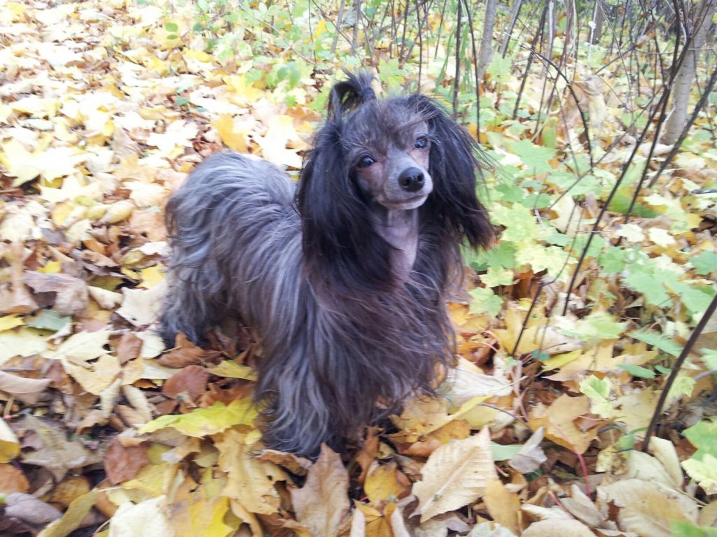 Tiny Diamonds Something Special 