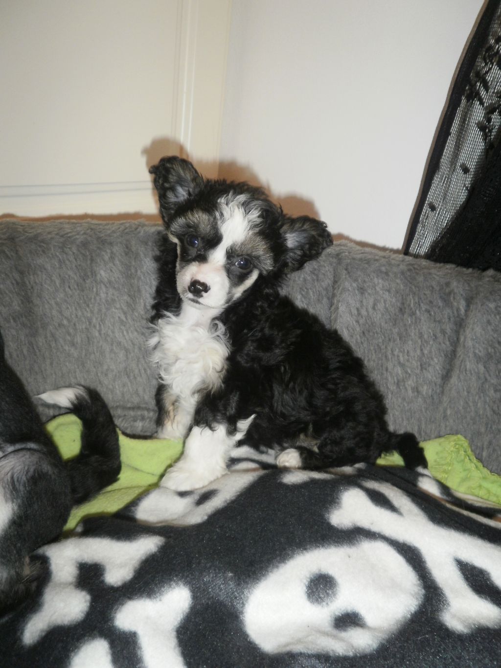 Candy Queen's Tears In Heaven