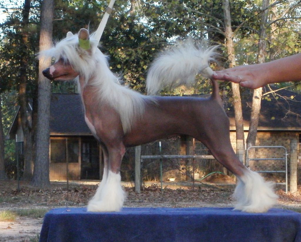 Explicit's Disturbing The Peace