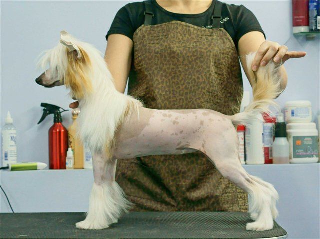 Melt In One's Mouth iz Diamond Sity