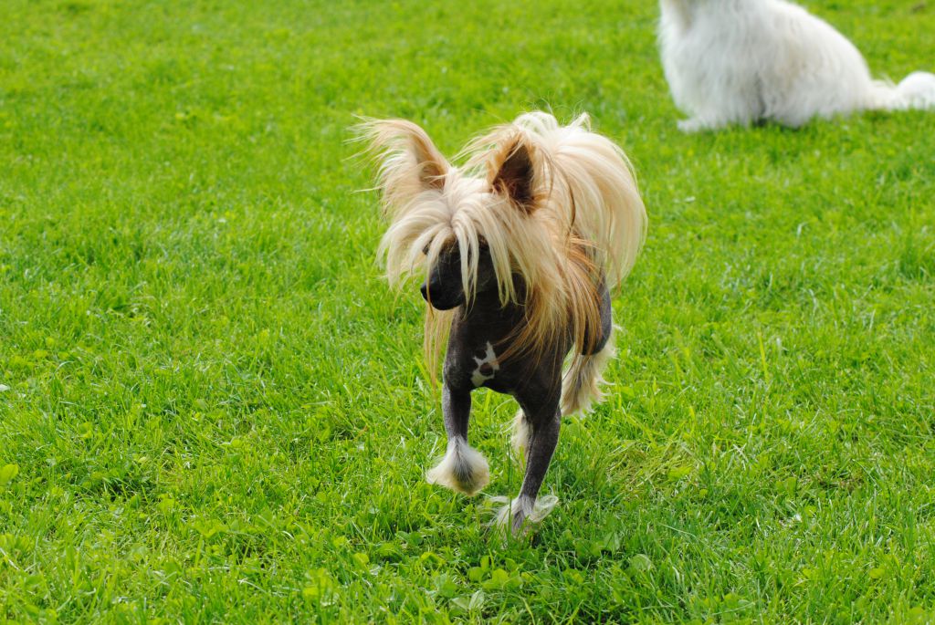 Il était Une Fois Kingston