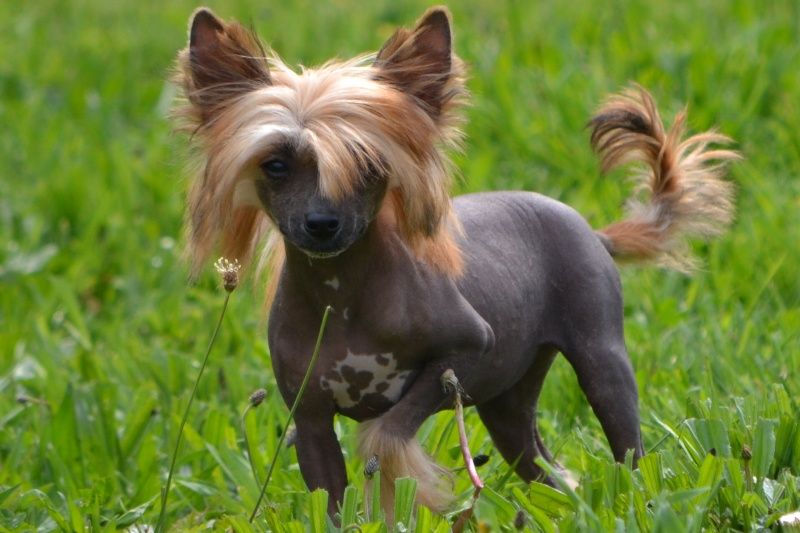 Il était Une Fois Just'me