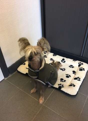 Il était Une Fois Keyser Soze