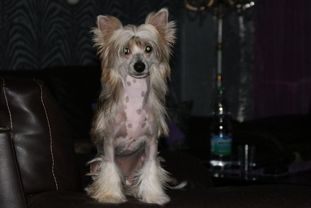 Mana's Secret's Eminem