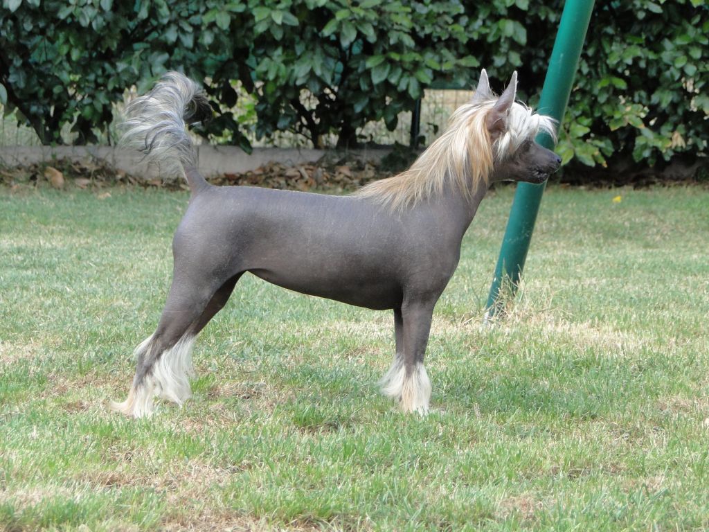 Give Me A Kiss du domaine de cha su bao