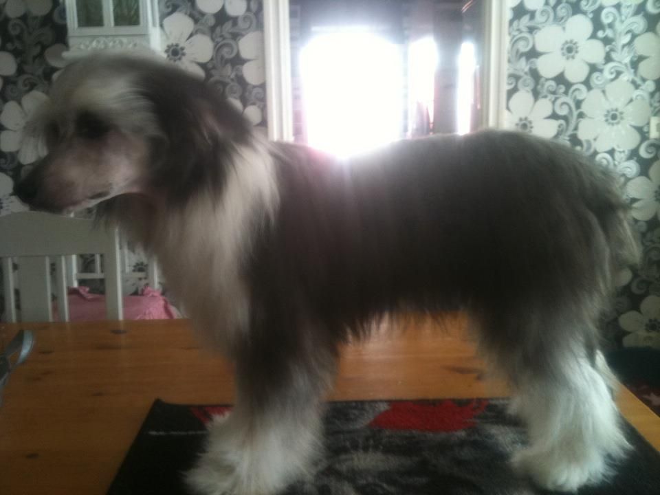 Love Bites NextInLine