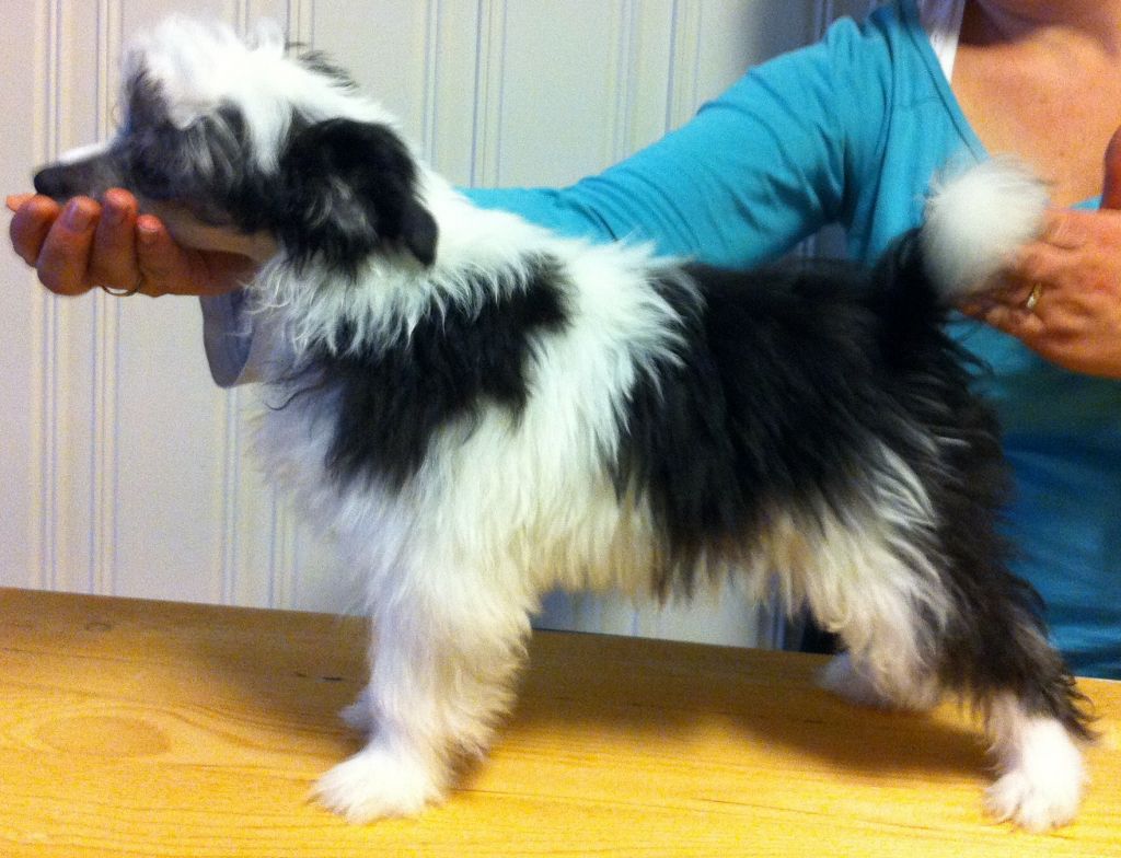 Love Bites ASatisfiedMind