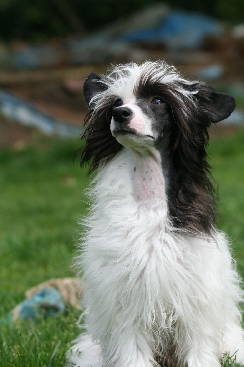 Dresscode-Zero Khal-El