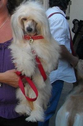 Patagonia Ranch Uma Lee