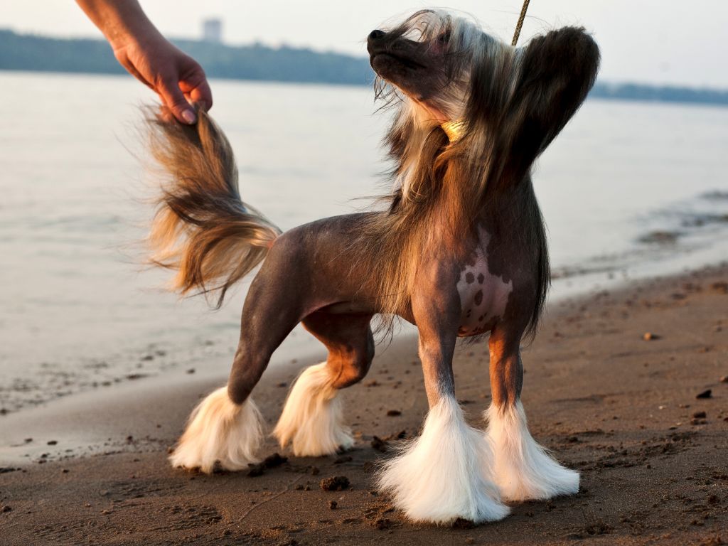 Oks Company Jeanette Jenkins