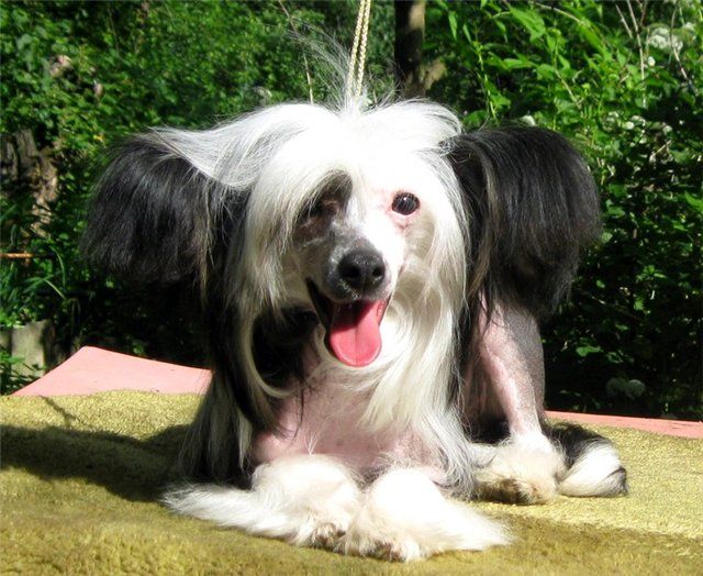 Oks Company Jelannaya