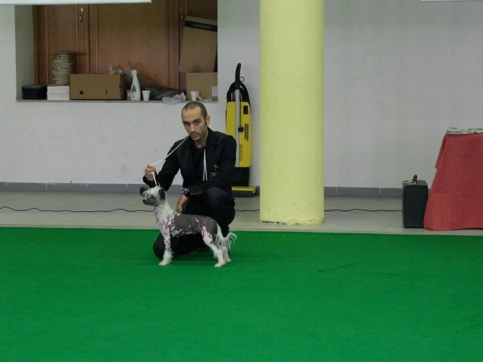 Chadlans Cookie Crisp