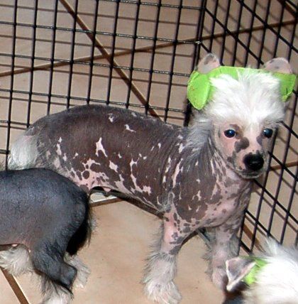 Canyons Lightin Fires