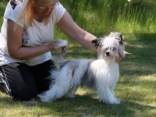 Zodellin Daughter Of Darkness