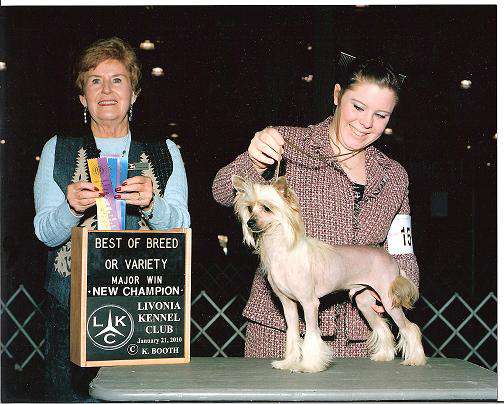 Edelweiss Excellent Adventure By Jove