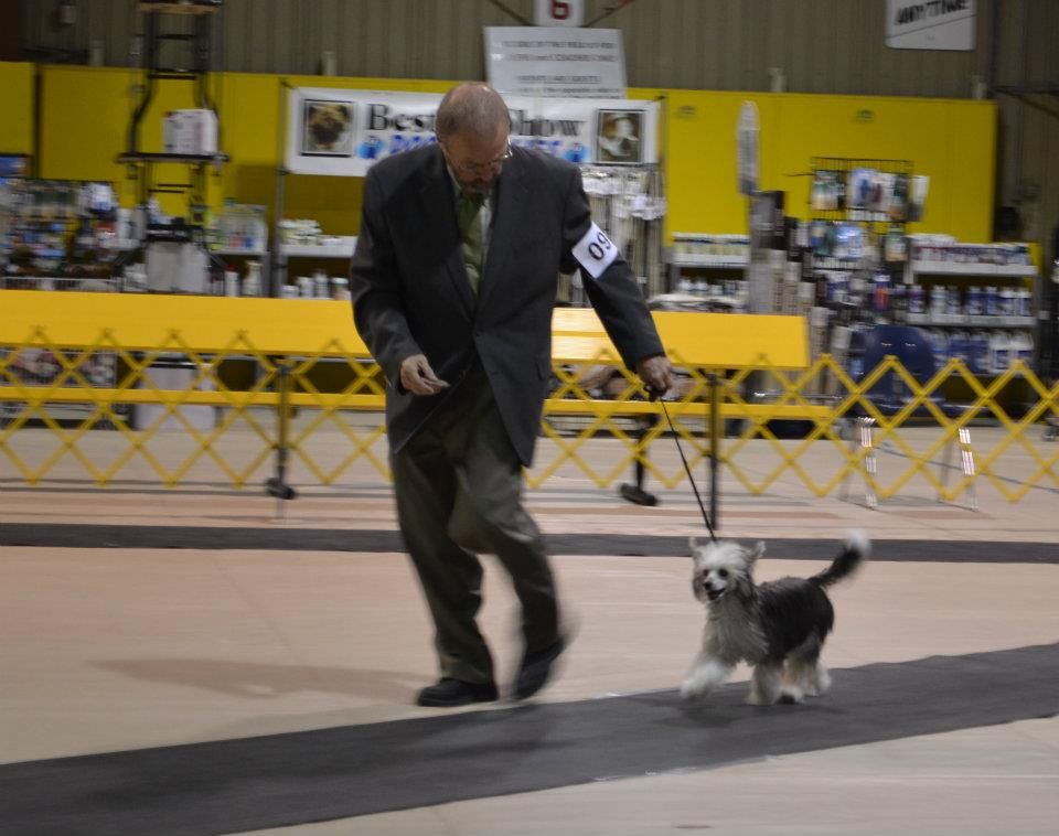 McShane's Cinder and Smoke