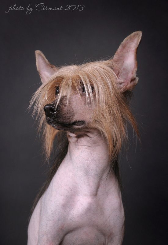 Olegro Katrin Oliver