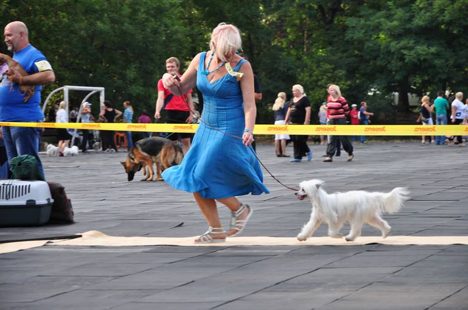 Solo Elider Britney Jean Spears