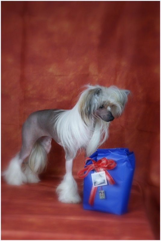 Gny-ma Du Coeur Des Tenebres