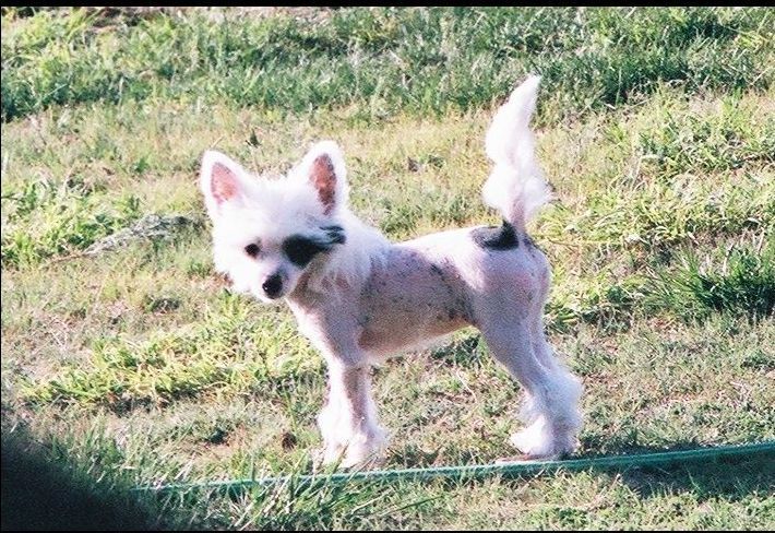 Cayenne's It's Only Love at Cloud Nine