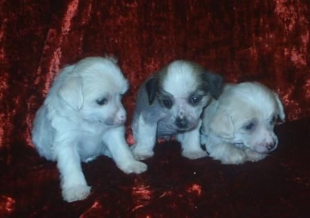 Nyu Art Teper' & Navsegda