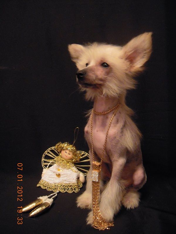 Angelic Diamond  Grazia Laila