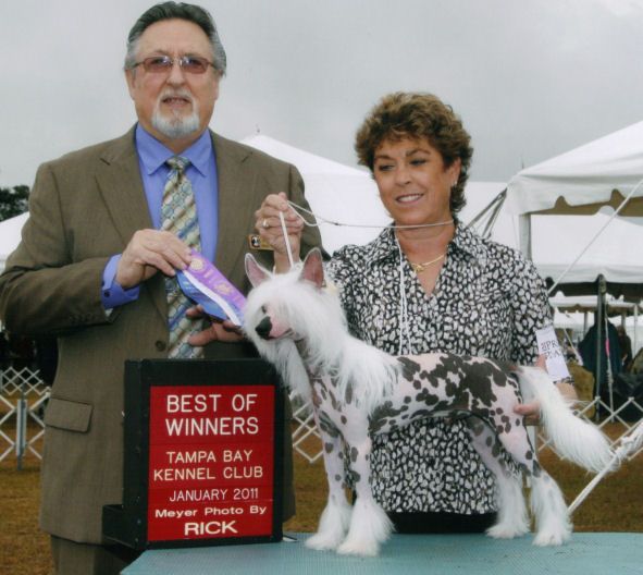 RyLaur's Who's Your Daddy