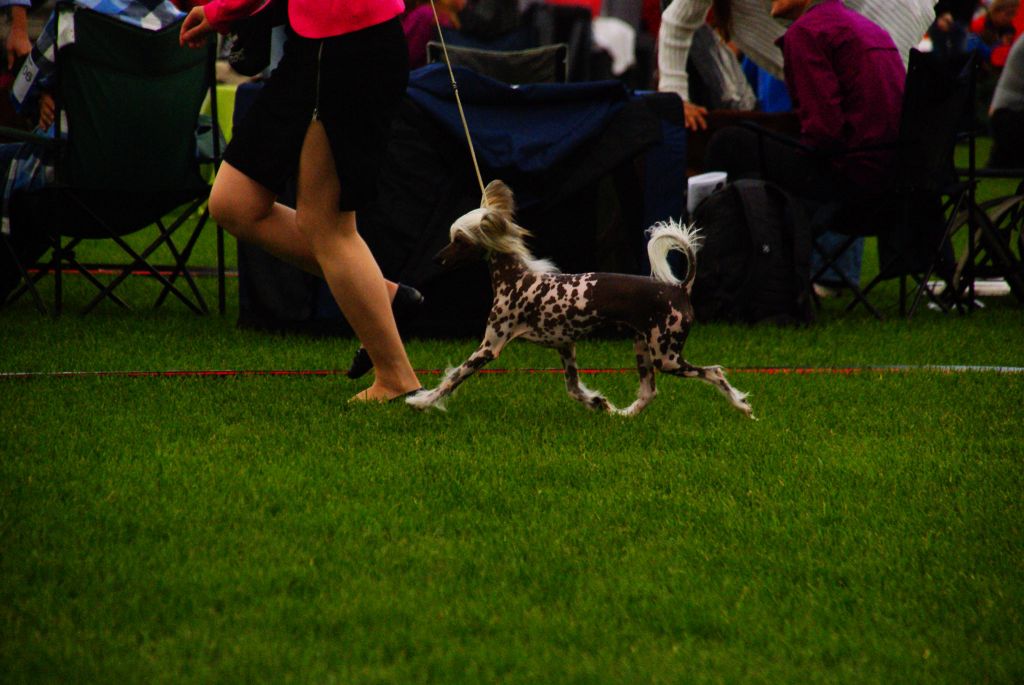 Sunstreaker Living on a Prayer