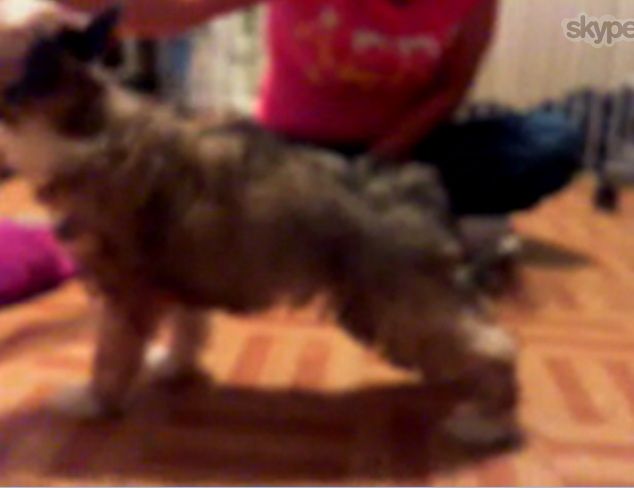 Mahns Have a Secret in Heaven