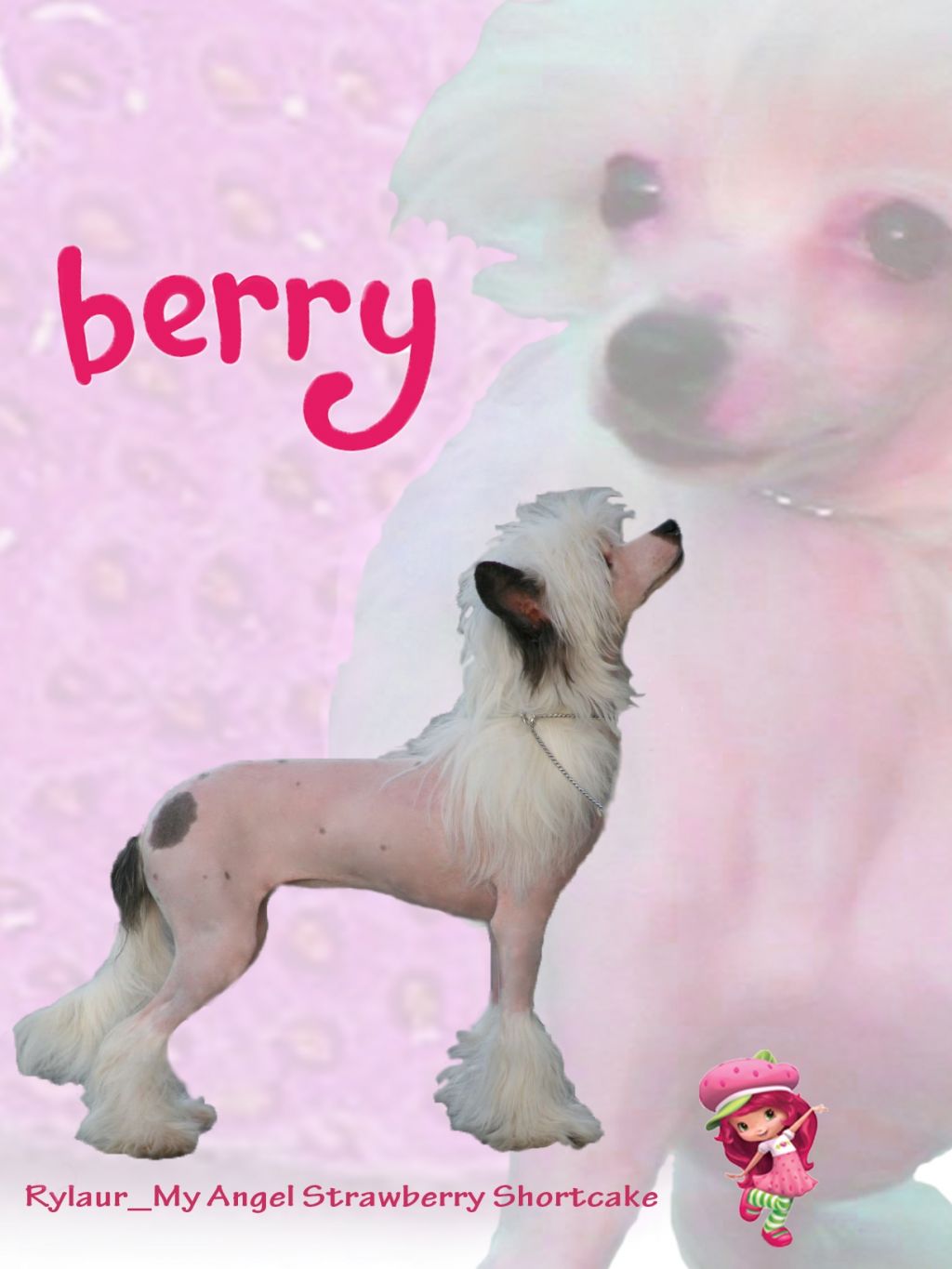 Rylaur's Strawberry Shortcake