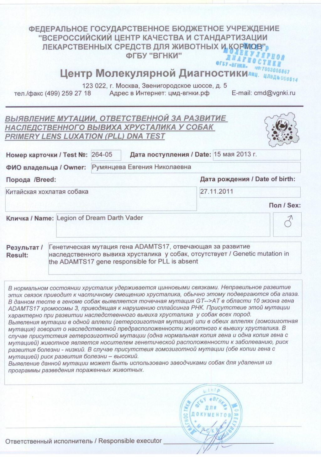 Legion of Dream Darth Vader