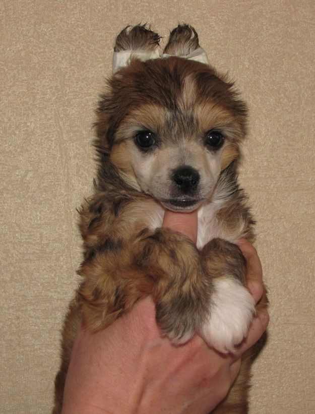 Naleks Art Palma de Mallorca