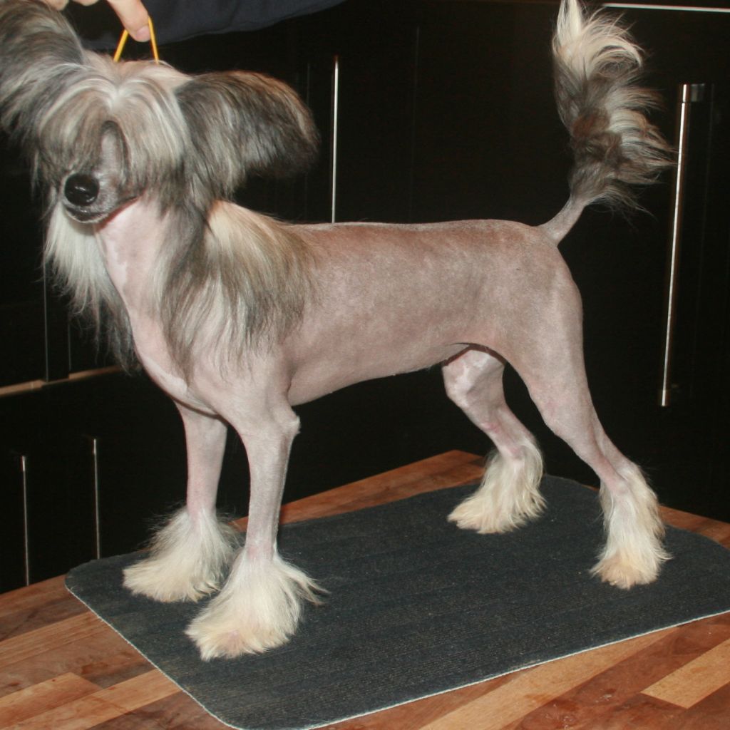 Habiba Famously Fabulous