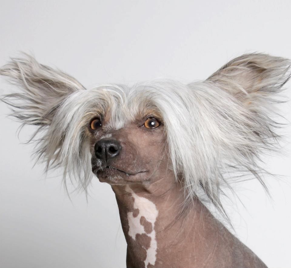 Mheleas Crash Boom Bang