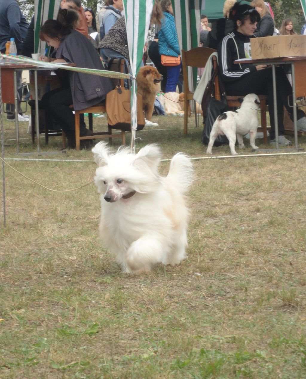 Rubens Behappy Bonus Westtai