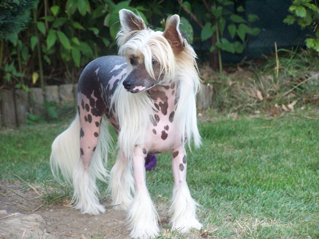 Cooper of Little twinkling Stars