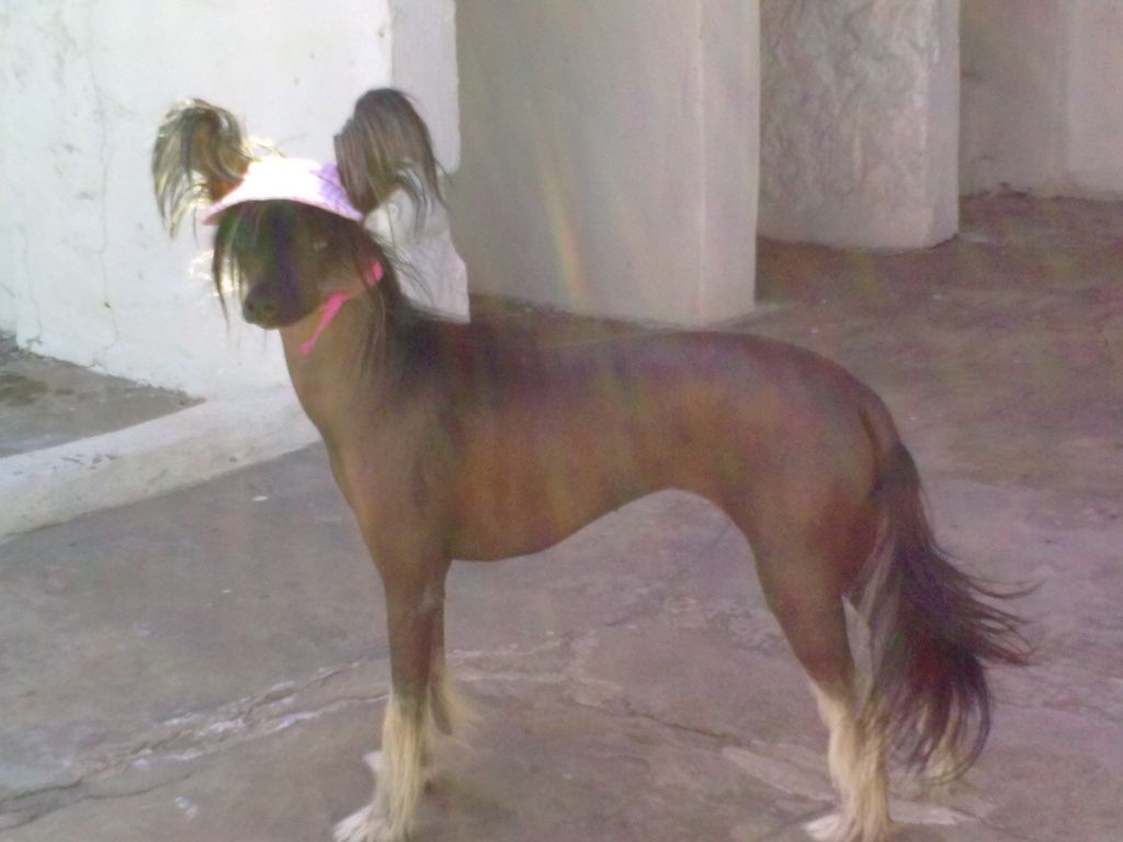 Patagonia Ranch Brisa