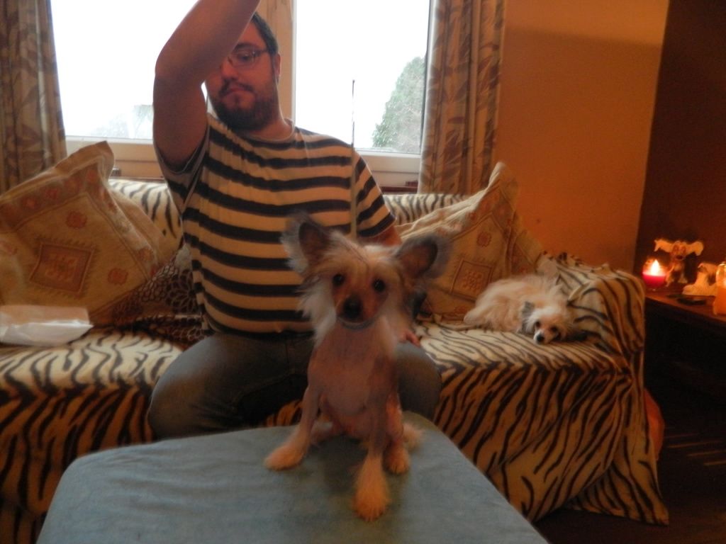 Pollypeck Razzle Dazzle FOR SIGYNS