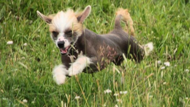 Samaya Sladkaya Yagodka