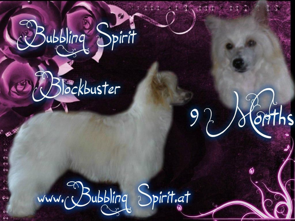 Bubbling Spirit Blockbuster