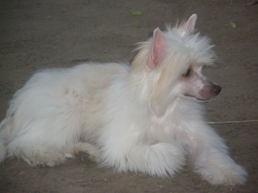 Olegro Katrin S'Nejana