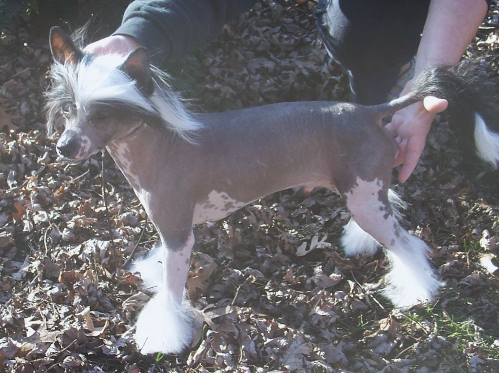 Edelweiss Money Train At Kan Du