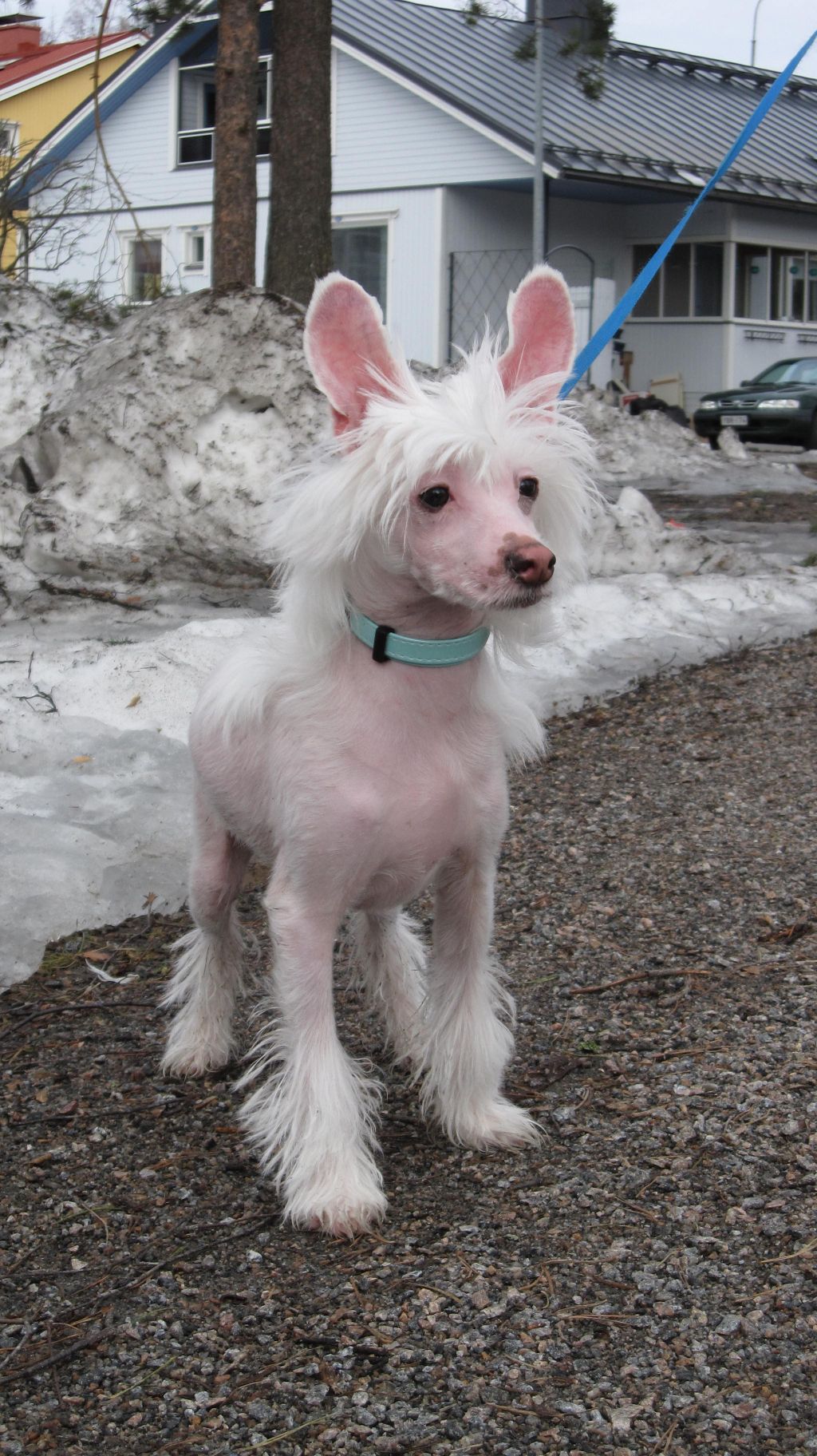 Chattanooga's On Sulla Pokkaa