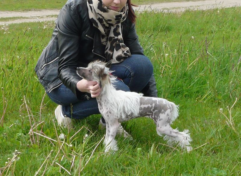 Victoria's Secret Piaulau-Gou