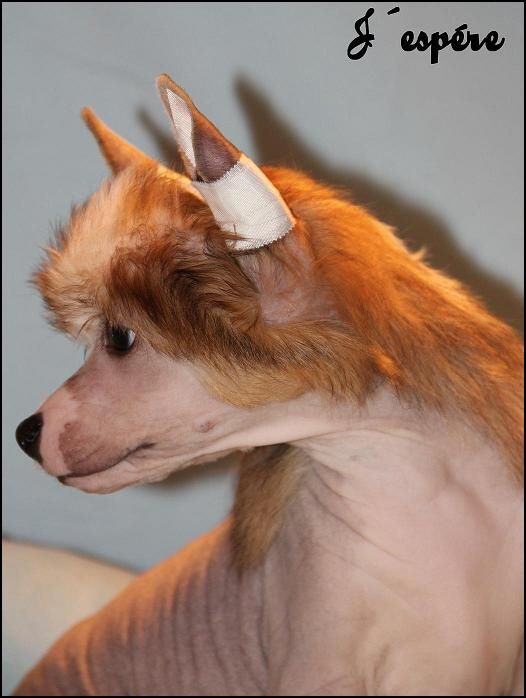 J'espére  La compagnie d'les amies