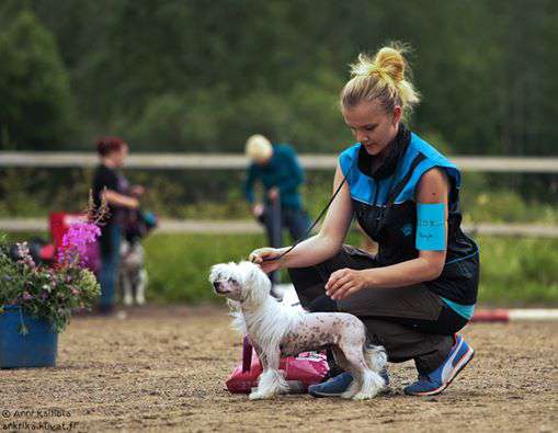 Royalgift Kisses For Sale